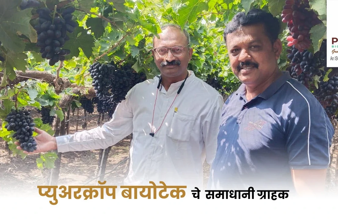 PureCrop Biotech Pvt. Ltd.