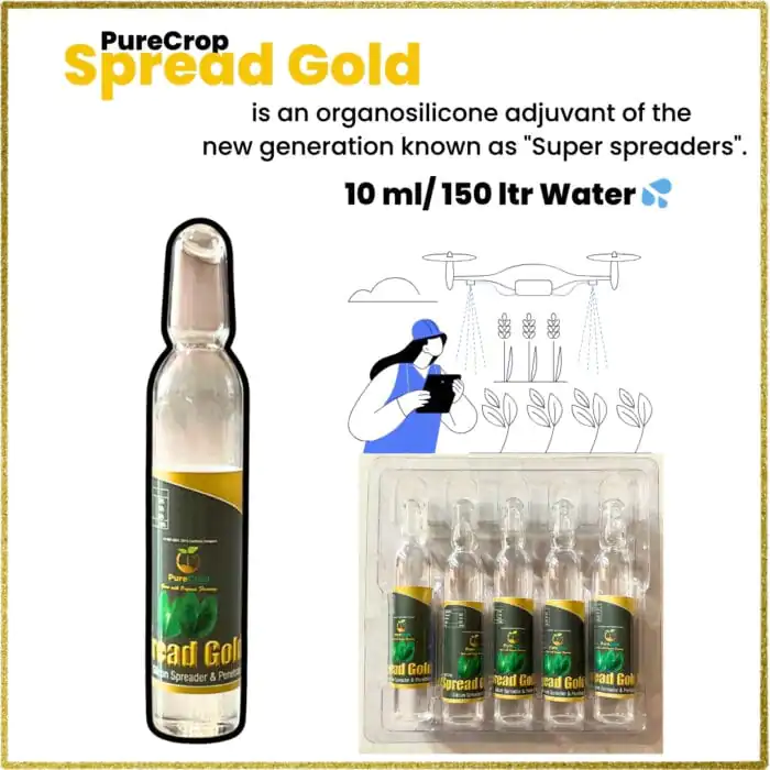 Spread Gold