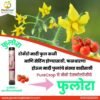 Fulora Organic Flower Growth Promoter for enhanced flower production, reduced fruit drop, and improved yields in crops like grapes, mangoes, tomatoes, and pomegranates. Eco-friendly solution for better pollination and fruit setting.