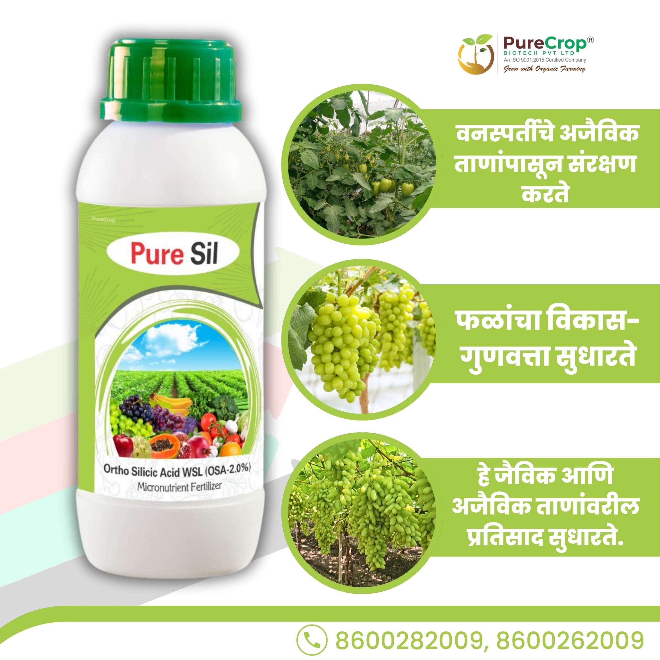 Pure Sil I Puresil | Ortho Silicic Acid 2% (Silicon Fertilizer) - Image 2