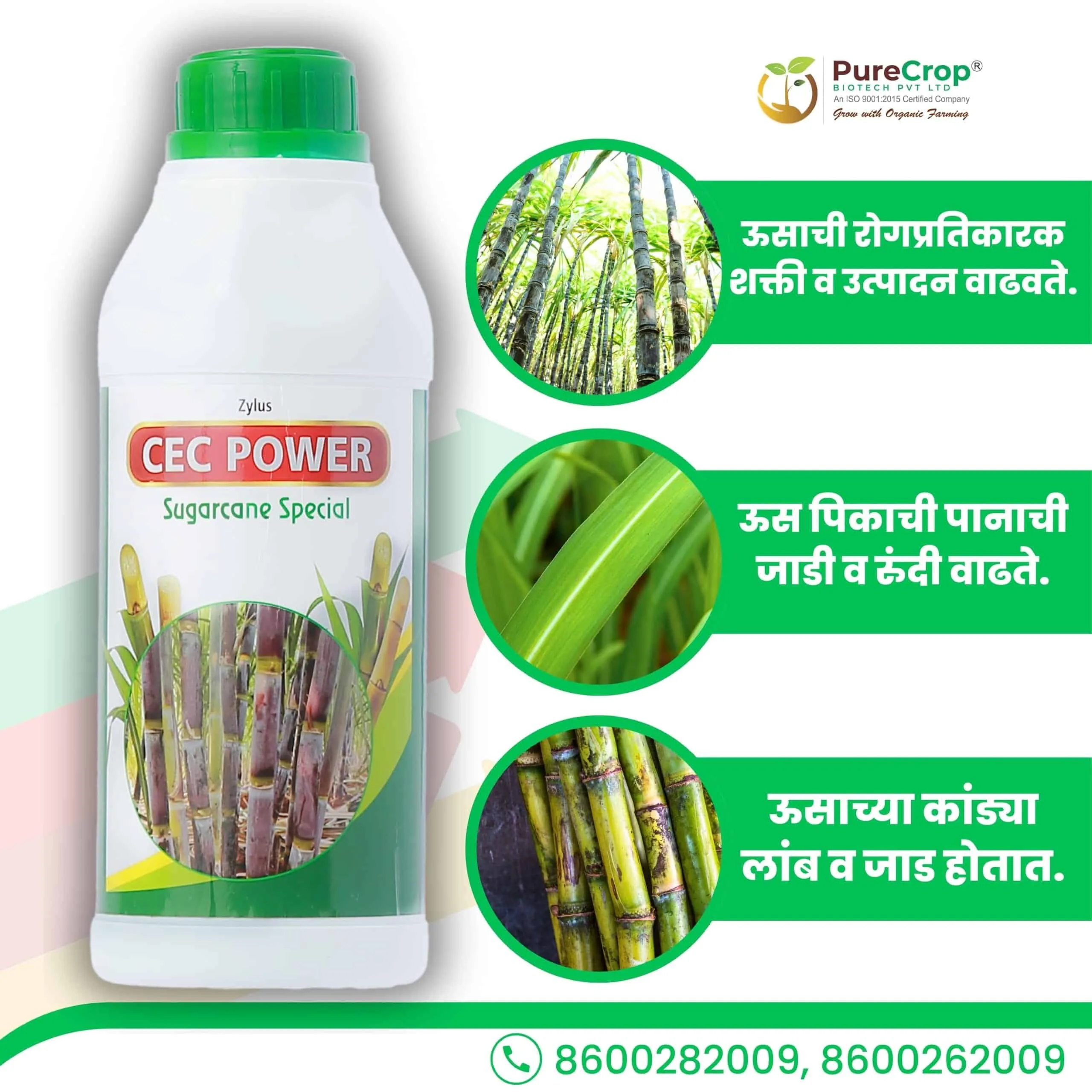 Zylus CEC Power Sugarcane Special - Image 3