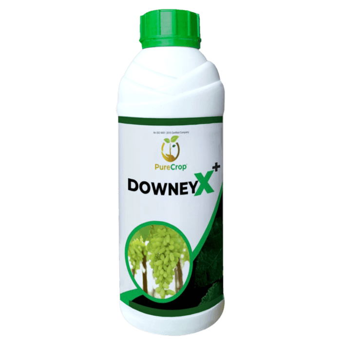 Downey X Organic Crop Protector for Disease Prevention and Healthy Growth