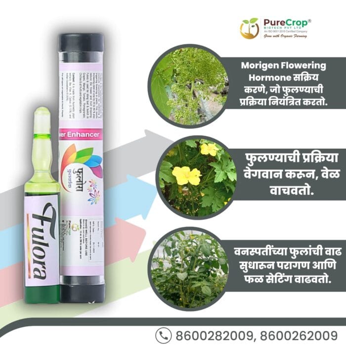 Fulora Organic Flower Growth Promoter for enhanced flower production, reduced fruit drop, and improved yields in crops like grapes, mangoes, tomatoes, and pomegranates. Eco-friendly solution for better pollination and fruit setting.
