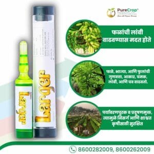 Organic fruit enhancer Nano Larger promoting fruit elongation, improved quality, and enhanced growth for fruits, vegetables, and flowers.