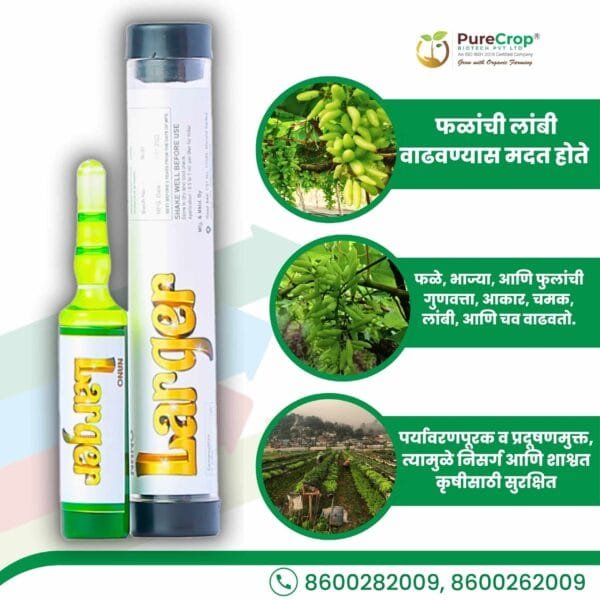 Organic fruit enhancer Nano Larger promoting fruit elongation, improved quality, and enhanced growth for fruits, vegetables, and flowers.