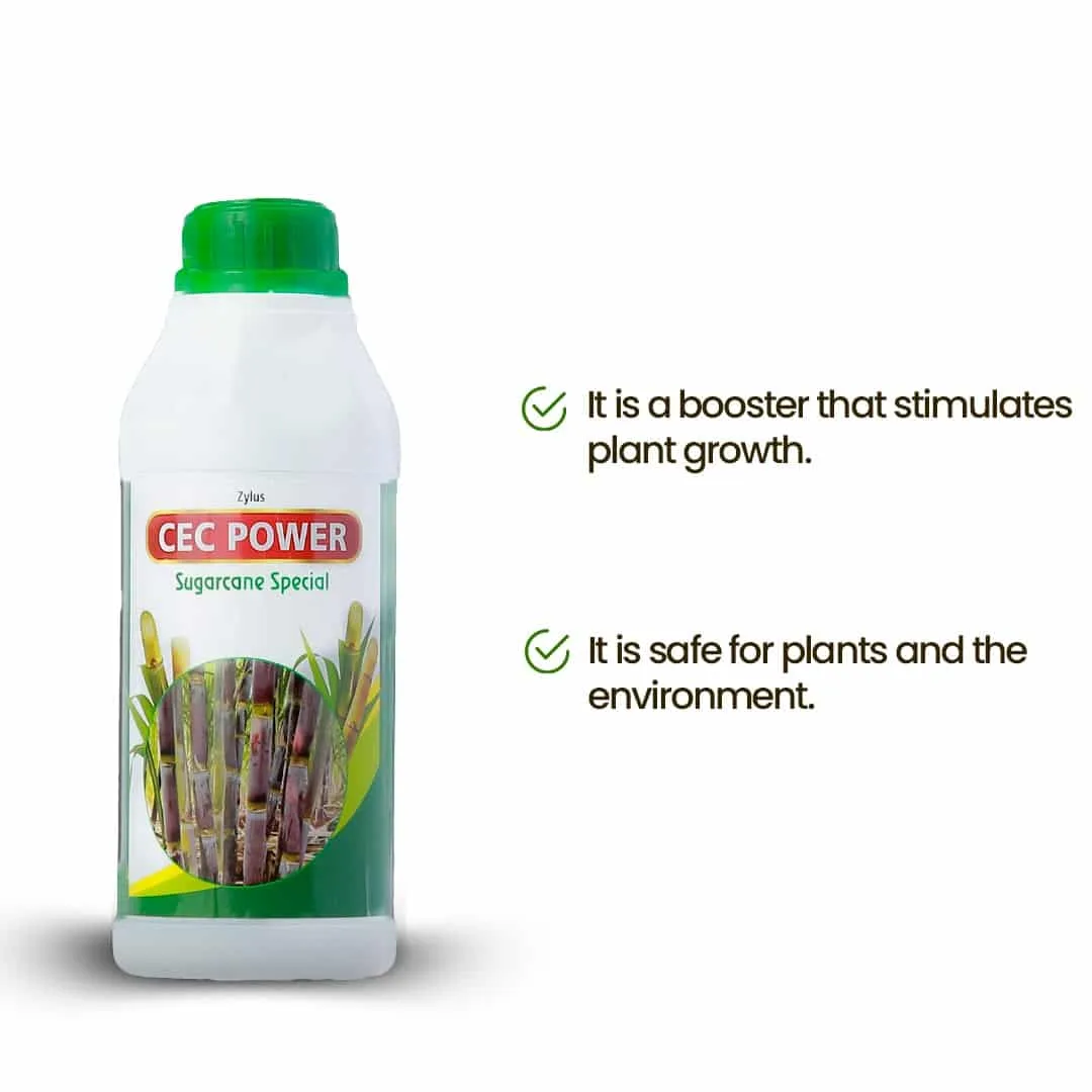 Zylus CEC Power Sugarcane Special - Image 5