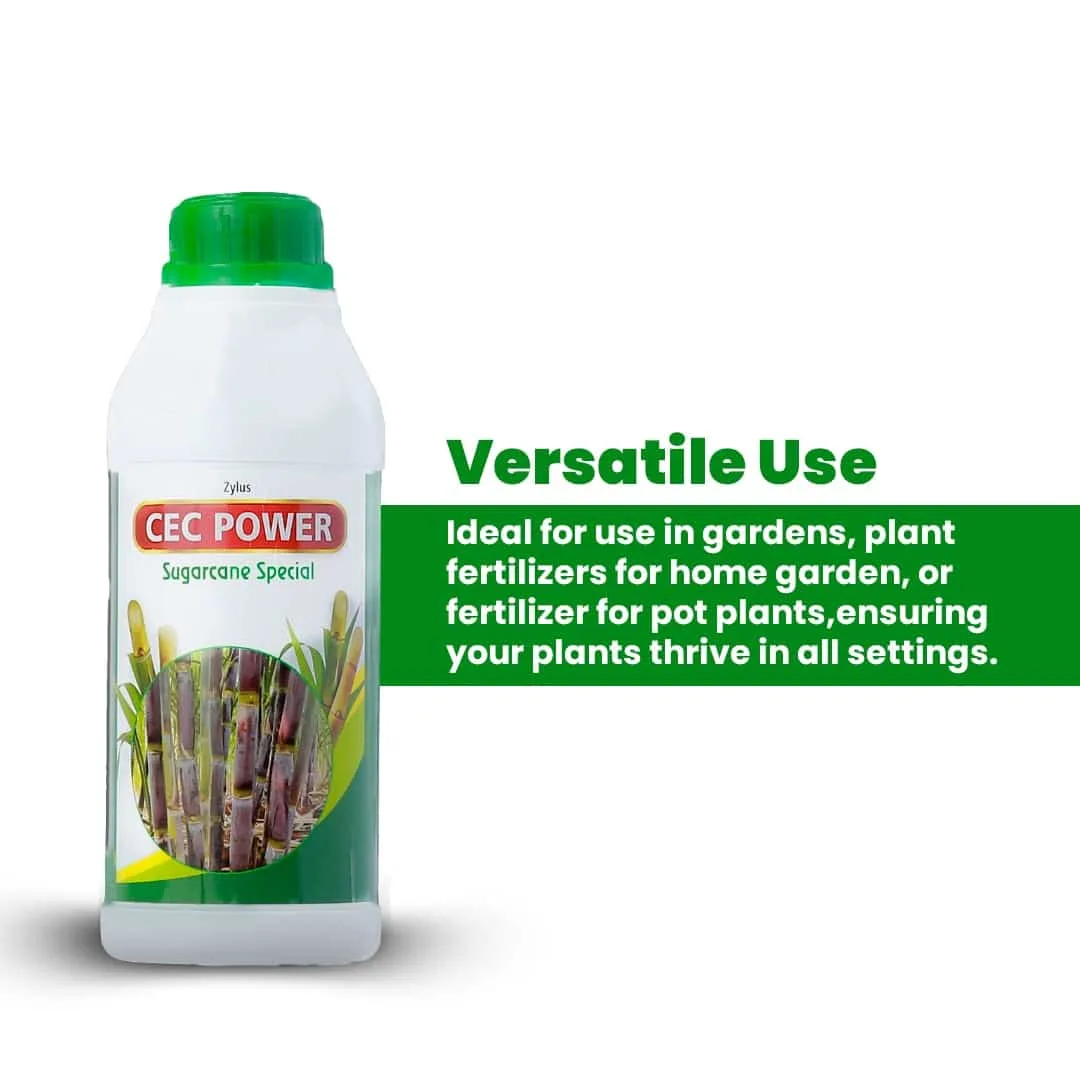 Zylus CEC Power Sugarcane Special - Image 7