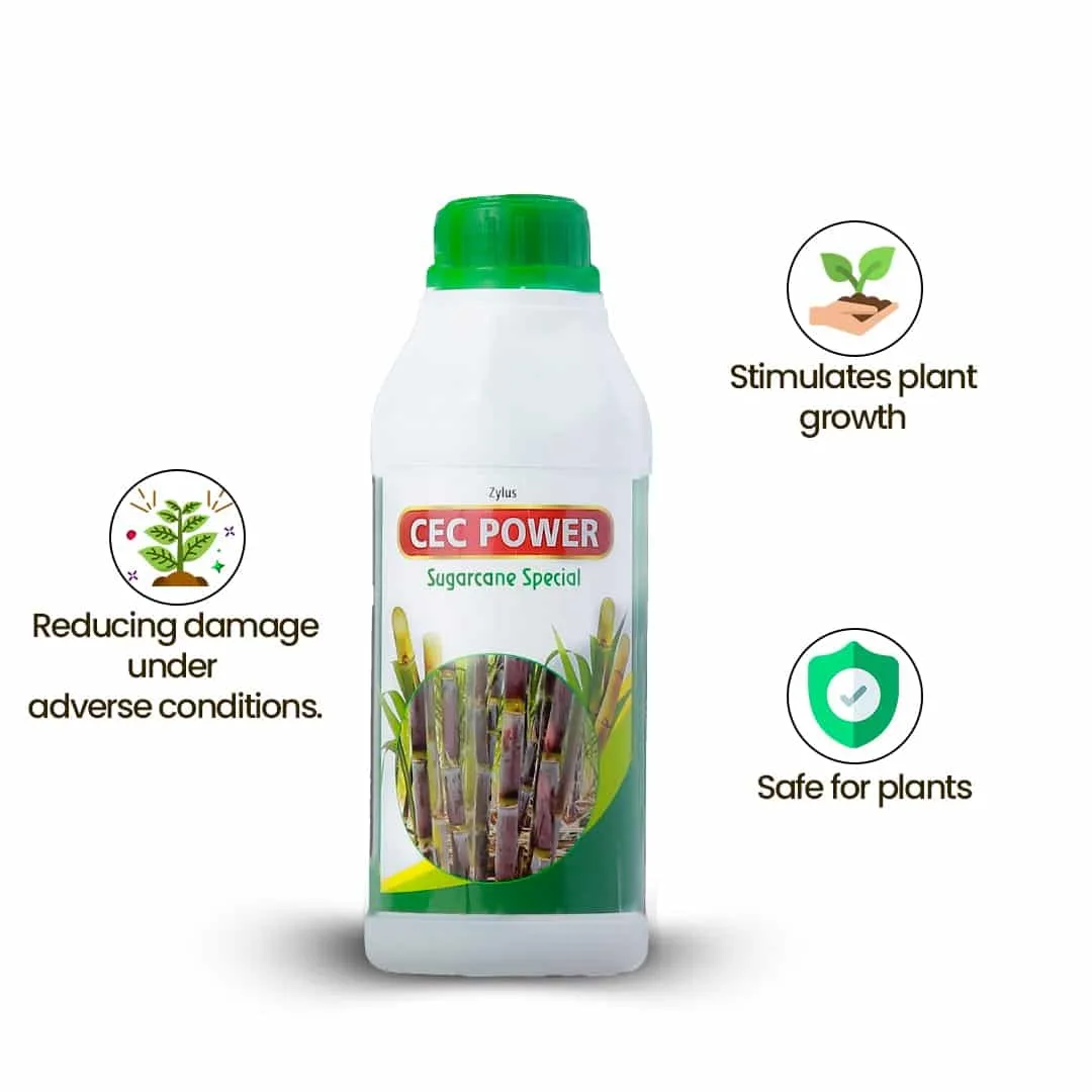 Zylus CEC Power Sugarcane Special - Image 8
