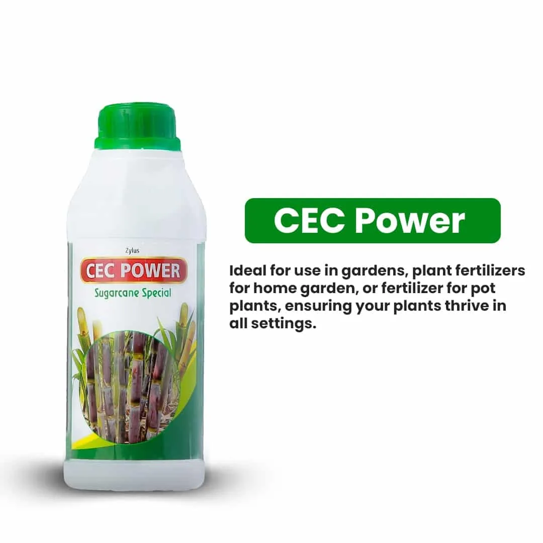 Zylus CEC Power Sugarcane Special - Image 9