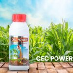 CEC power