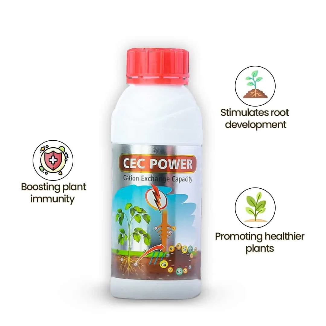 CEC power