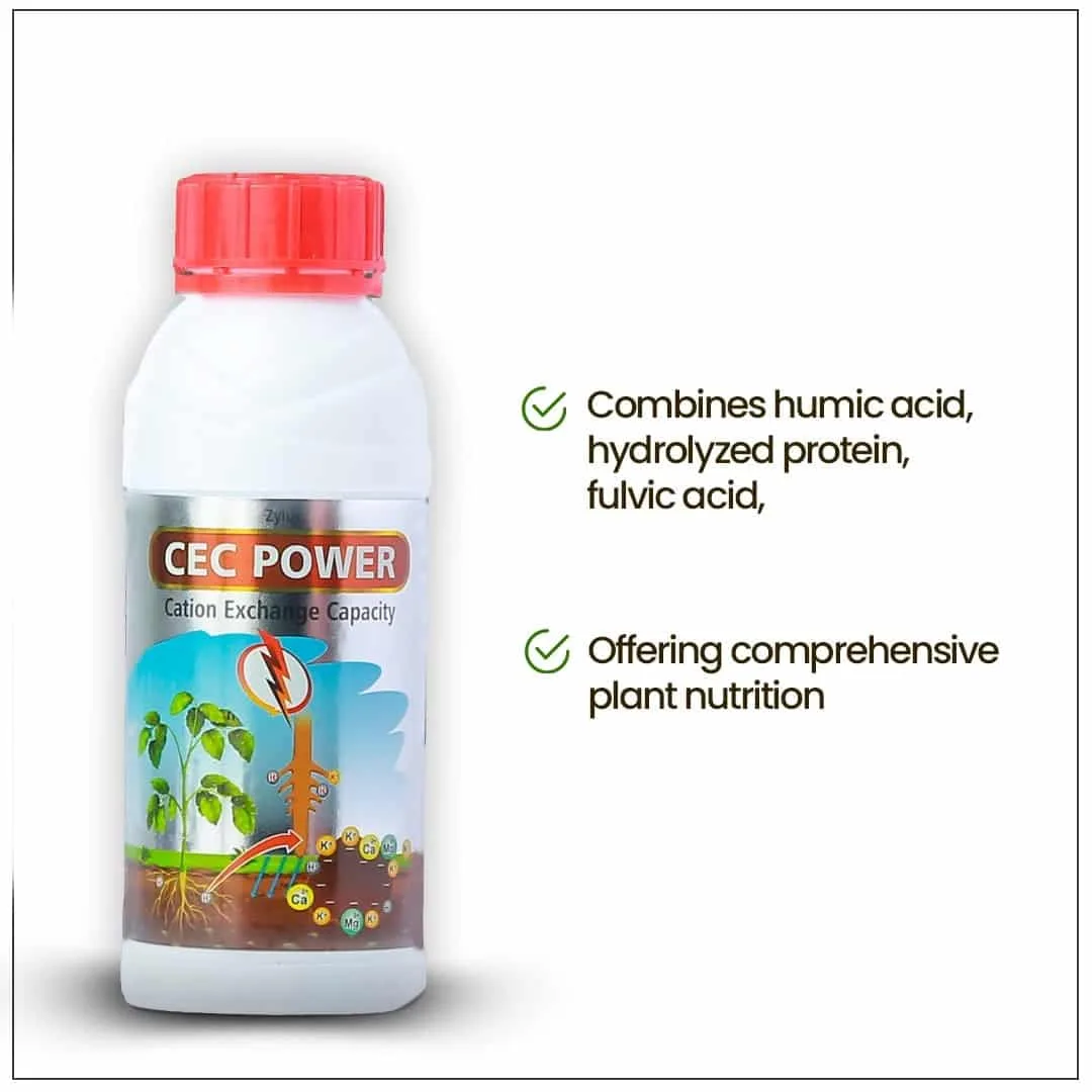 Zylus CEC POWER - Image 6