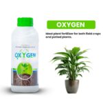 Oxygen