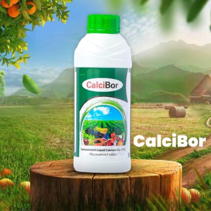 Calcibor