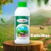 Calcibor
