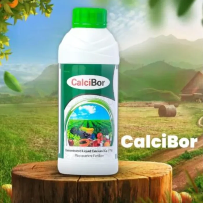 Calcibor