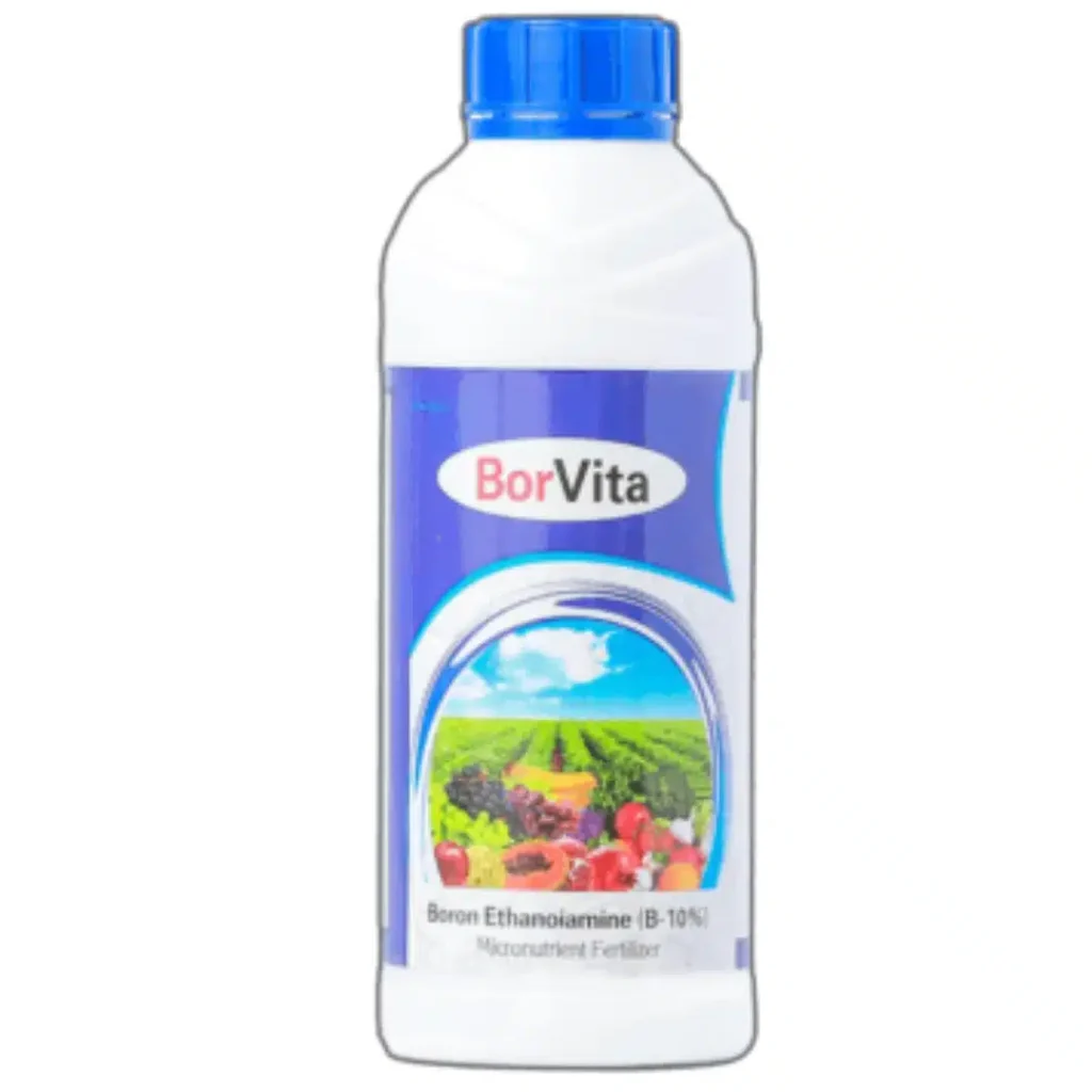 Borvita 1 ltr