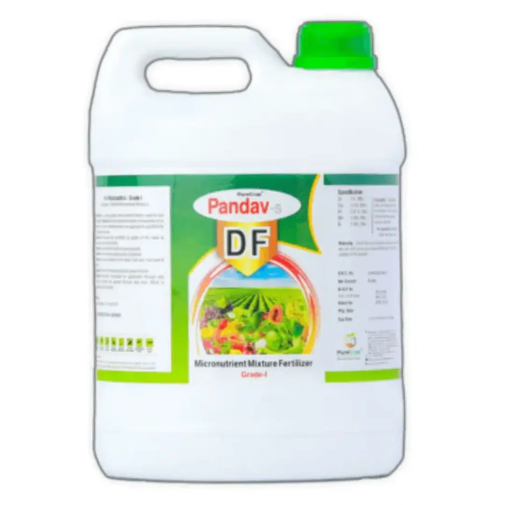 Pandav DF