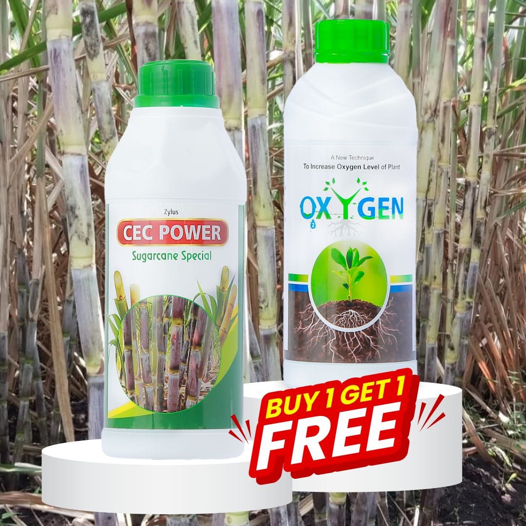 BUY CEC POWER GET Oxygen
