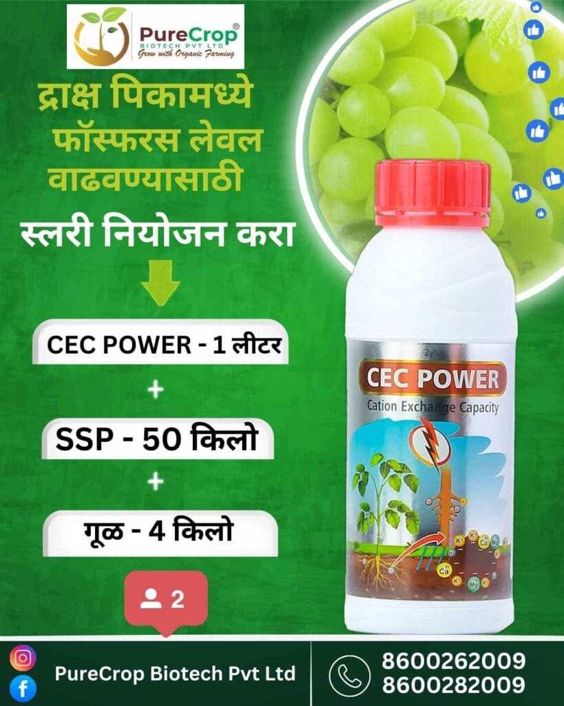 फॉस्फरस व्यवस्थापन