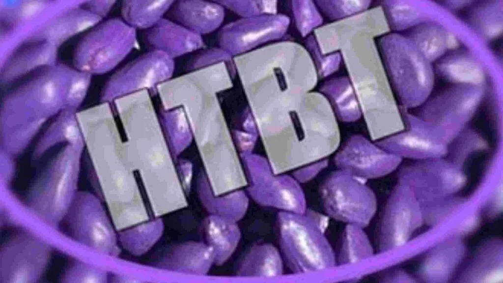 HTBT Seeds: अनधिकृत बियाण्यांनी व्यापला ५०% कापूस बाजार – शेतकऱ्यांच्या फसवणुकीत मोठी वाढ