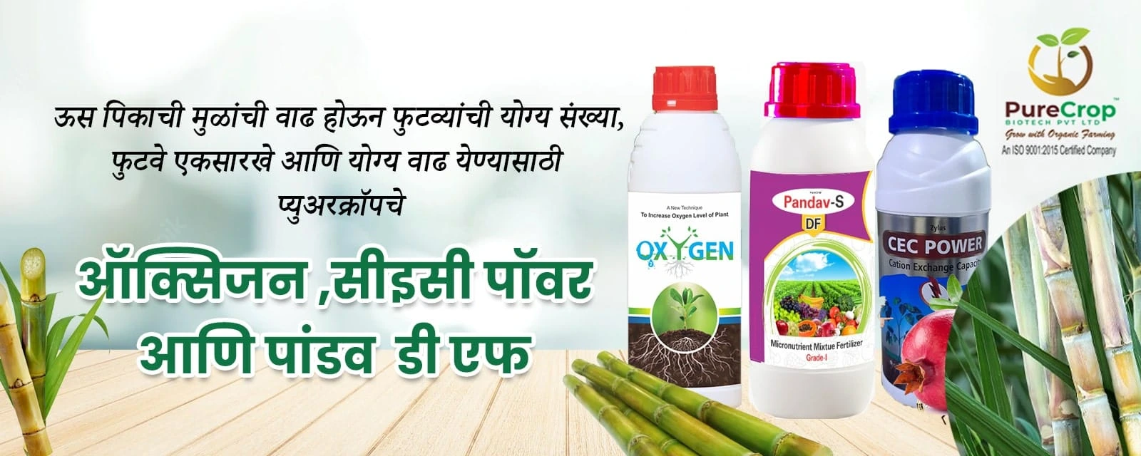 oxygen-cec-power-pandav-df-min