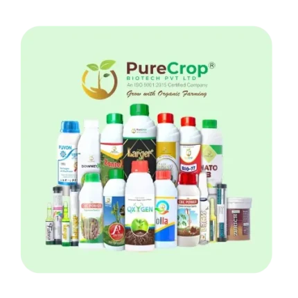 Plant Growth Regulator