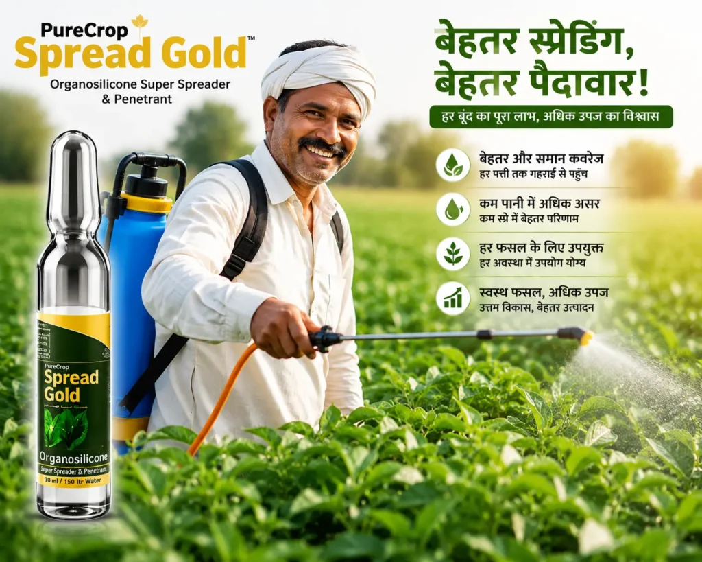 An experienced farmer successfully applying agricultural spray to maintain crop health.