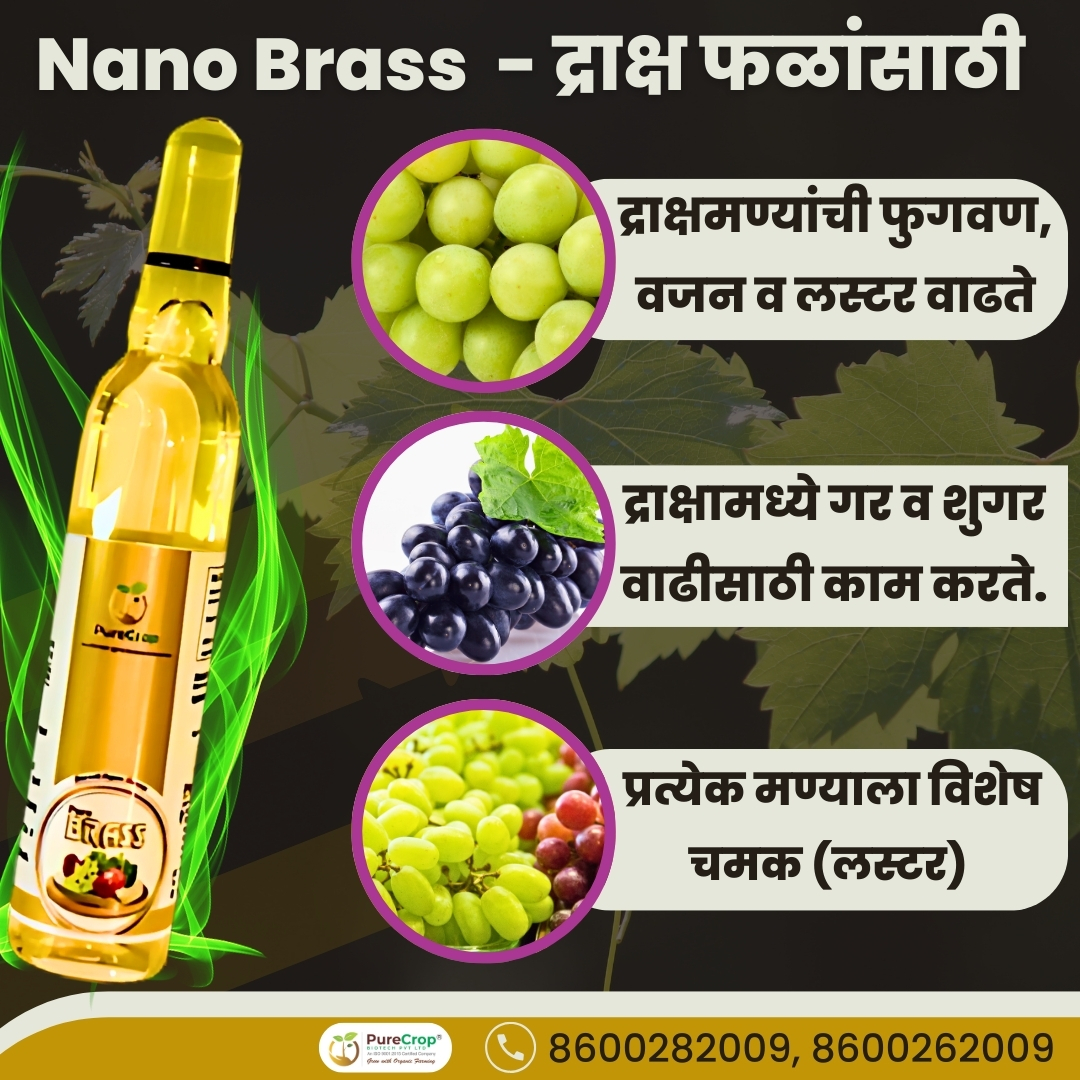 "A bottle of Brass, a fruit quality enhancer, containing a unique blend of nutrients, bioenzymes, vitamins, and energizers to improve the size, shape, color, flavor, and texture of fruits. Designed to enhance yield, shelf life, and export quality.