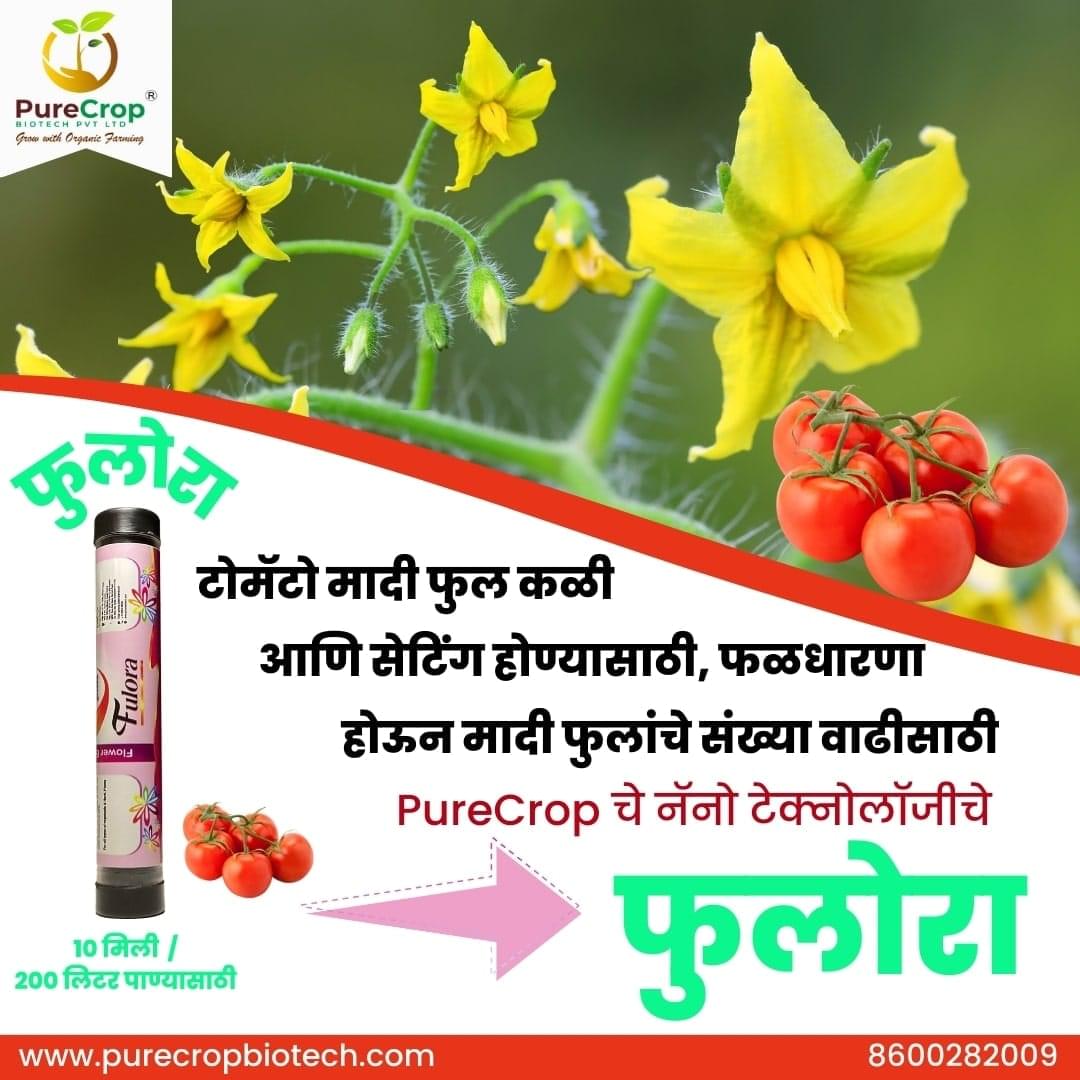 Fulora Organic Flower Growth Promoter for enhanced flower production, reduced fruit drop, and improved yields in crops like grapes, mangoes, tomatoes, and pomegranates. Eco-friendly solution for better pollination and fruit setting.