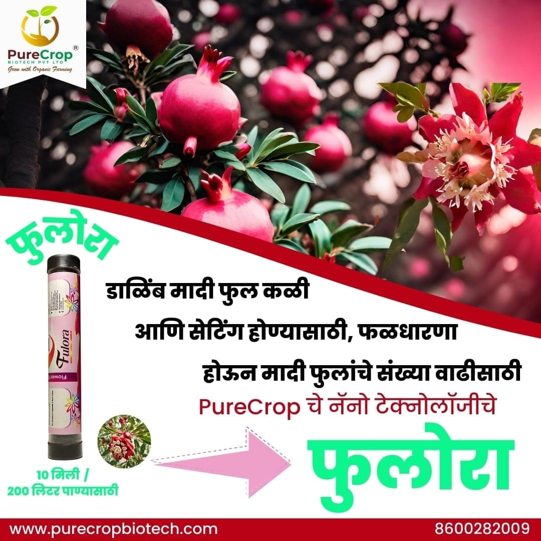 Fulora Organic Flower Growth Promoter for enhanced flower production, reduced fruit drop, and improved yields in crops like grapes, mangoes, tomatoes, and pomegranates. Eco-friendly solution for better pollination and fruit setting.