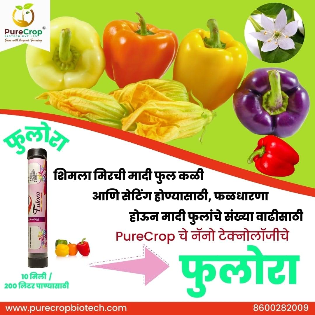 Fulora Organic Flower Growth Promoter for enhanced flower production, reduced fruit drop, and improved yields in crops like grapes, mangoes, tomatoes, and pomegranates. Eco-friendly solution for better pollination and fruit setting.