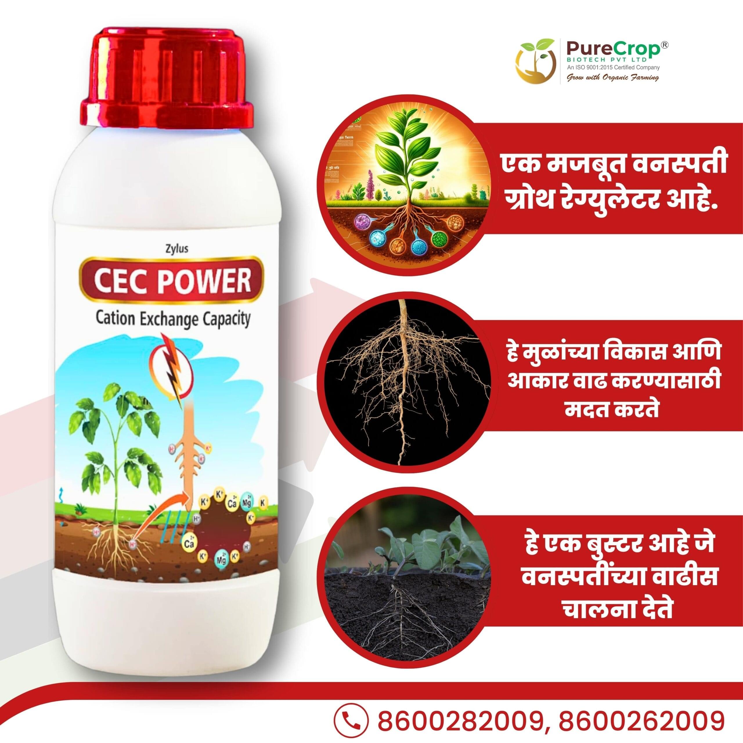 Zylus CEC POWER - Image 2