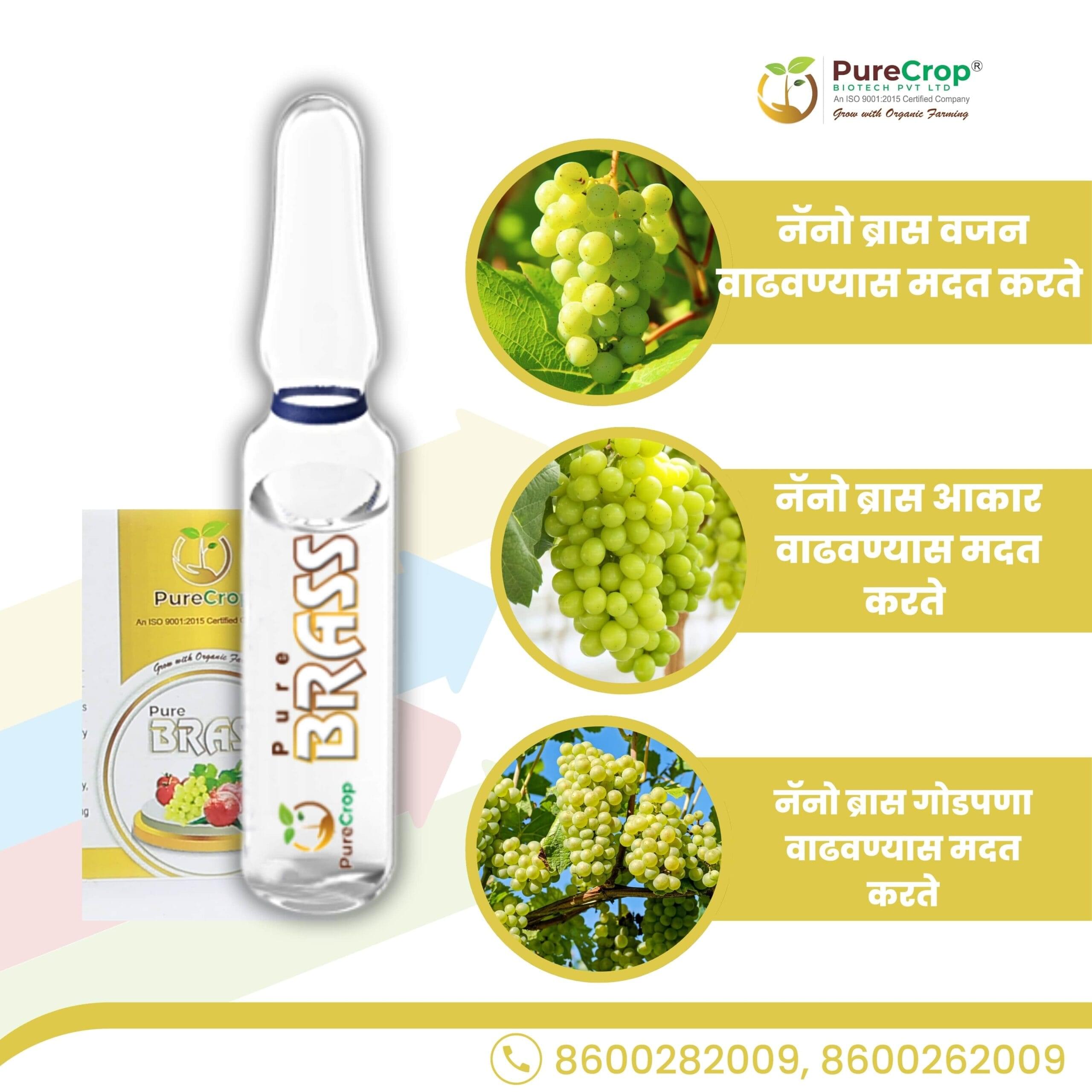 Nano Brass | Brass Premium Fruit Quality Enhancer for Superior Crop Yield - Image 4