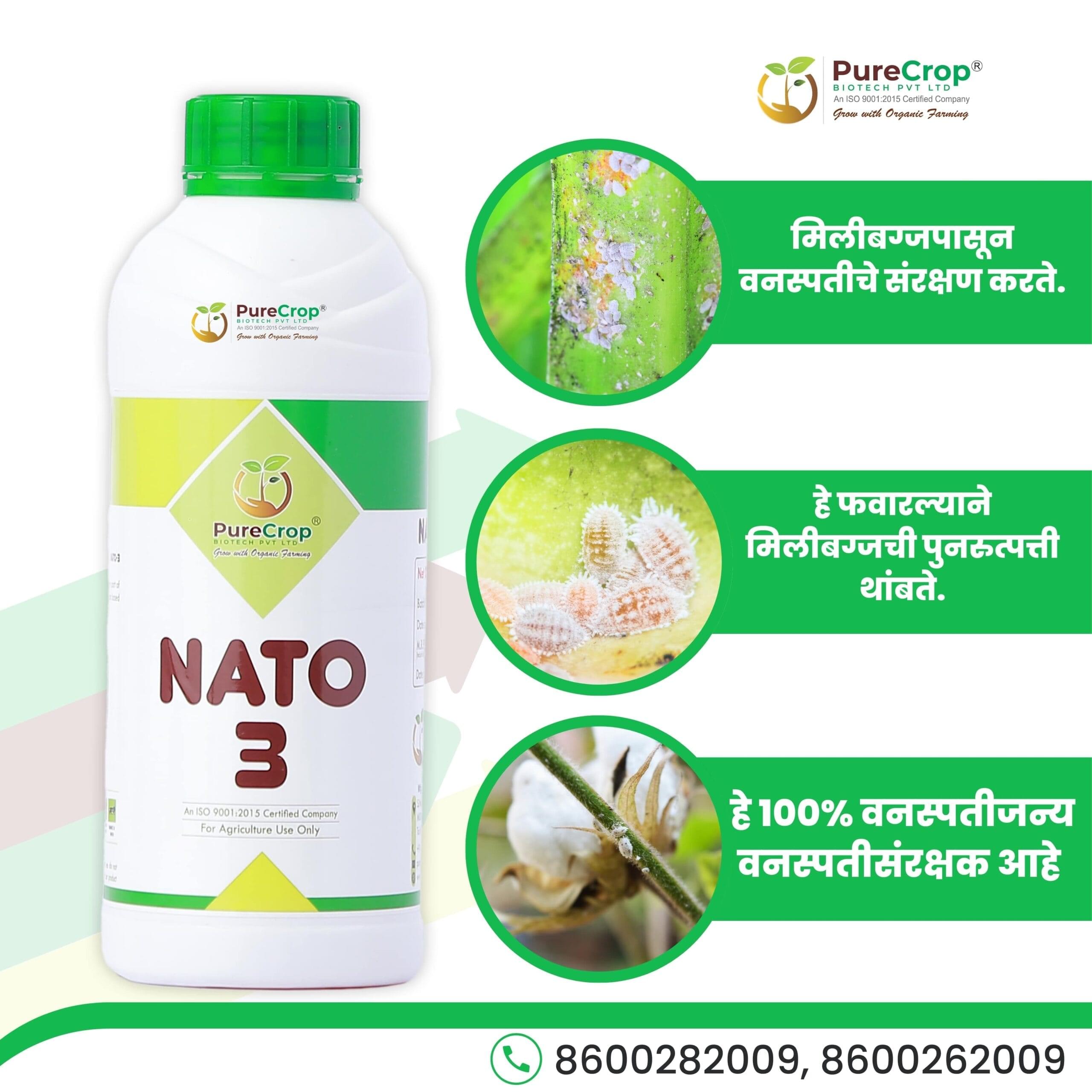 Nato 3 I | Effective Solution for Grape Mealybug Control 🚫🐞 | PureCrop Biotech - Image 2