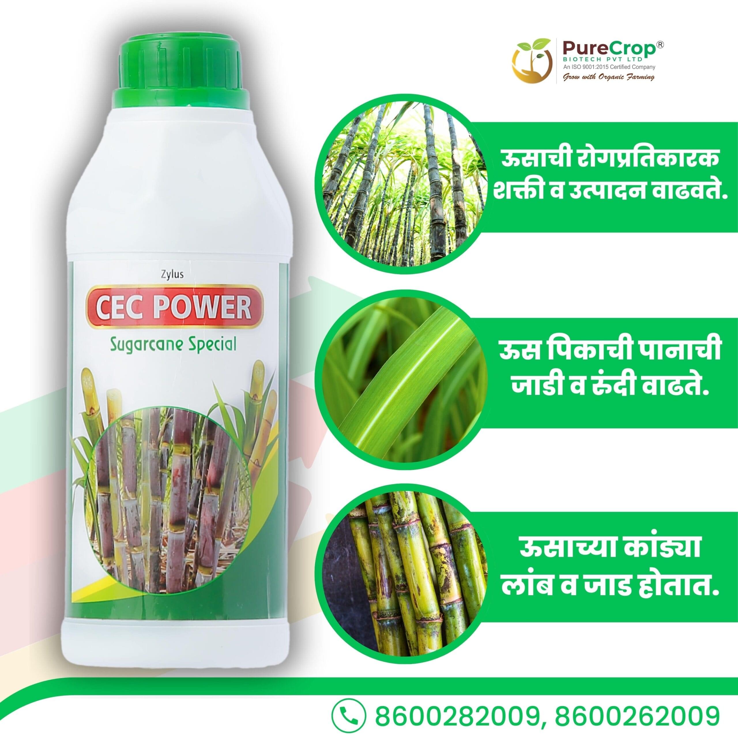 Zylus CEC Power Sugarcane Special - Image 3