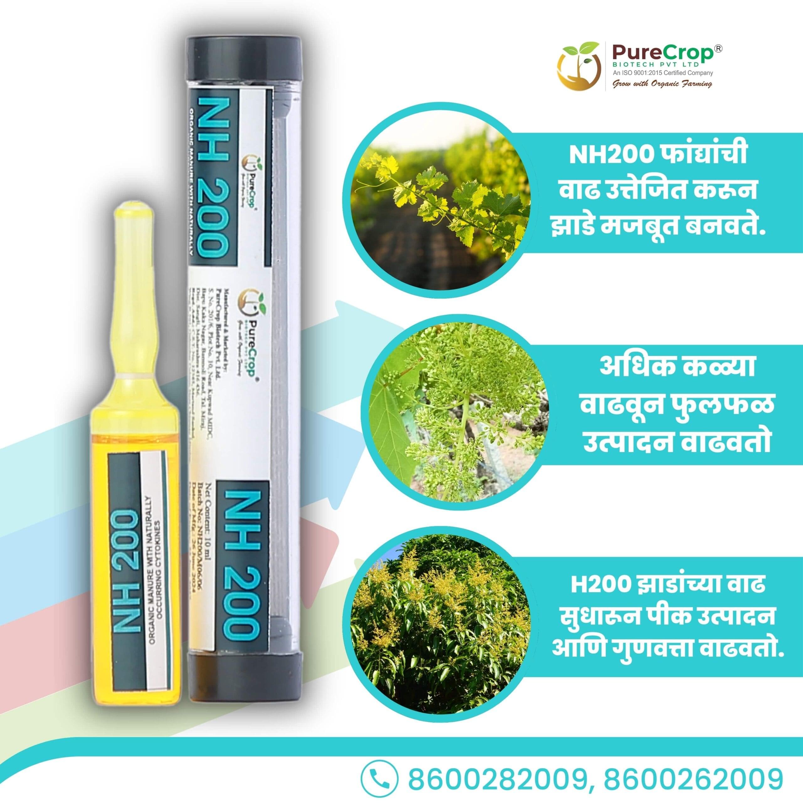 Enhance Plant Growth with NH 200: Effective Growth Regulator Solution - Image 2