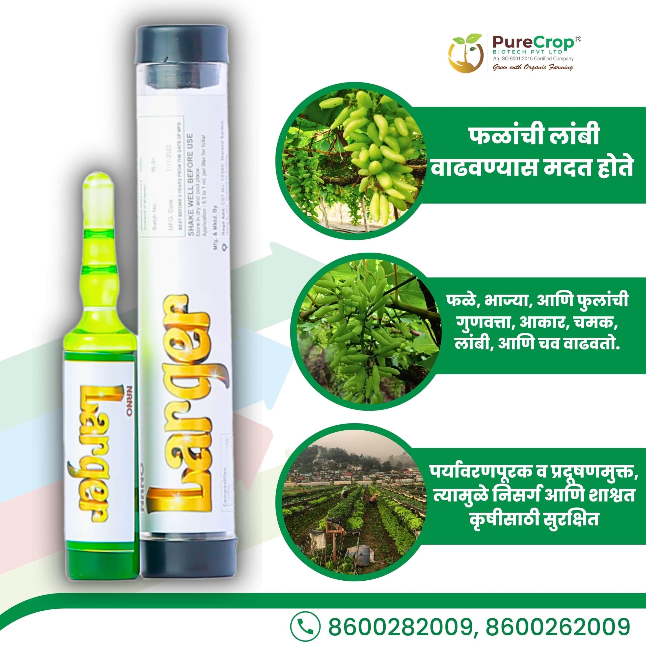 Organic fruit enhancer Nano Larger promoting fruit elongation, improved quality, and enhanced growth for fruits, vegetables, and flowers.