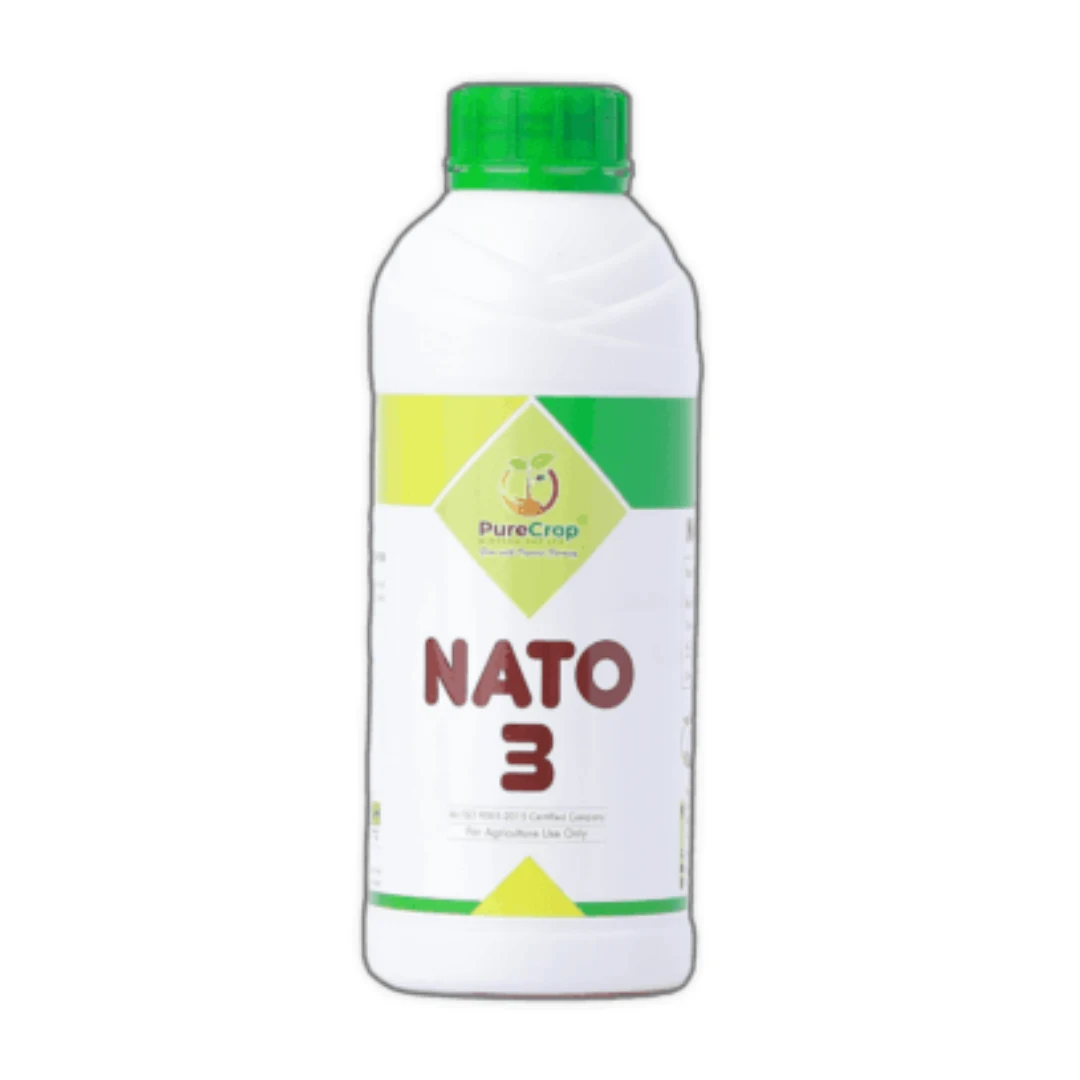 Nato 3
