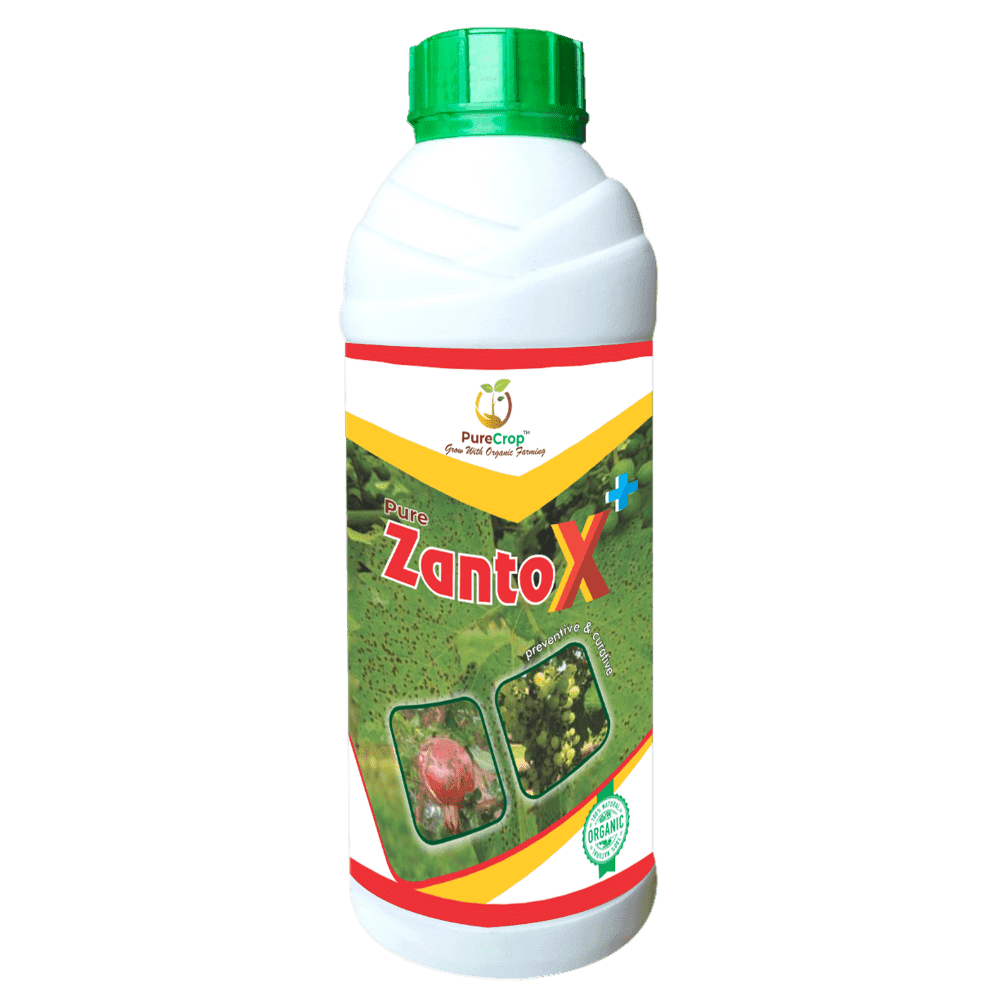 ZantoX Plus Organic Solution for Healthy Grape Crop Growth