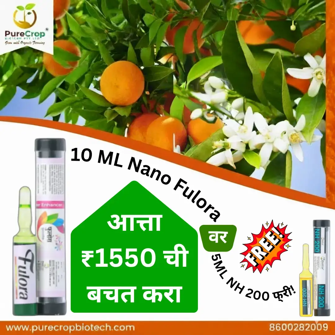 Nano Fulora 10 ml + Free NH 200 (5 ml) | Offer Price ₹950/- Only