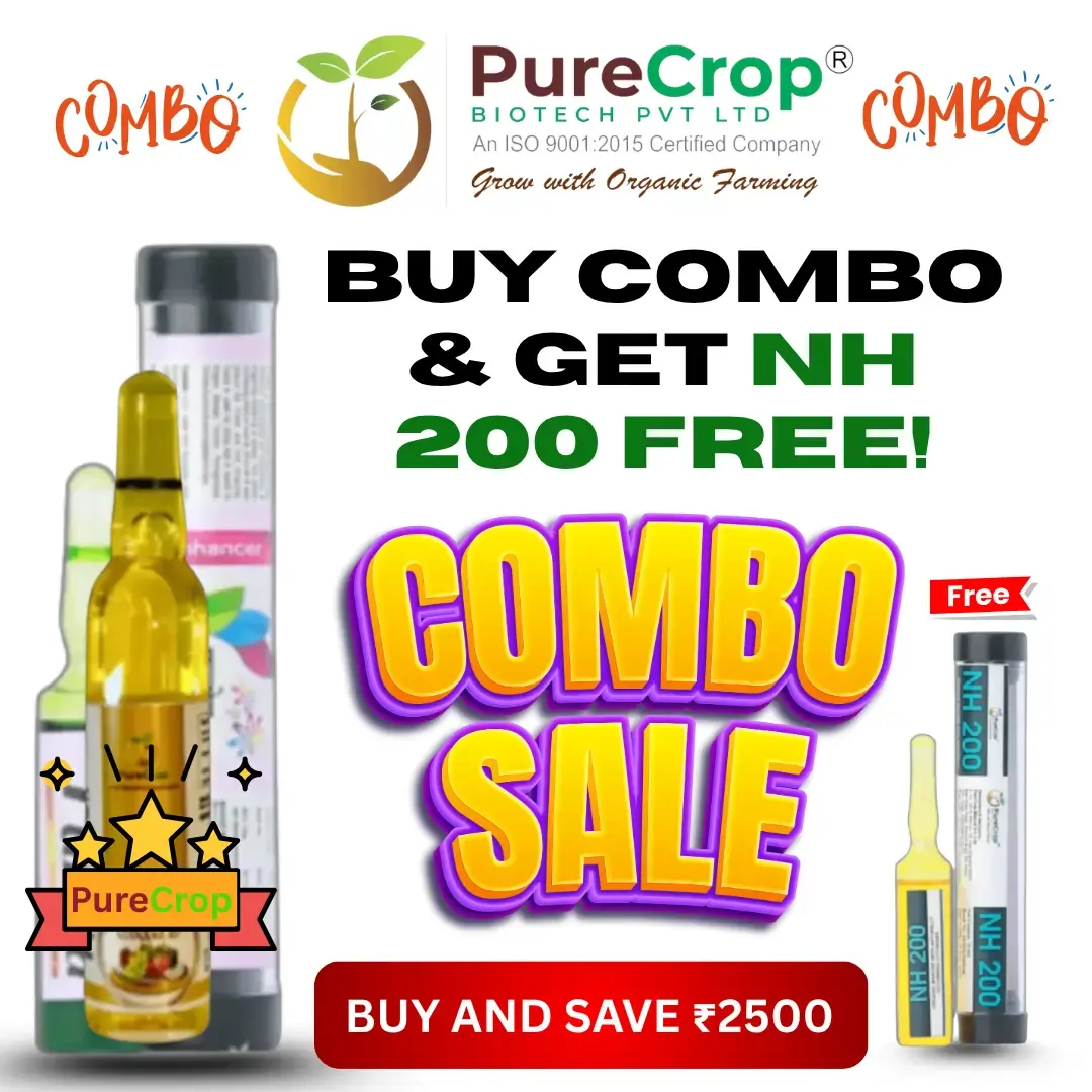 Nano Fulora + Nano Brass + Free NH 200