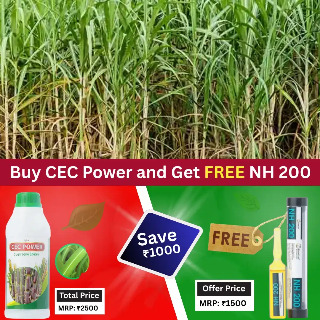 Cec Power Sug 1 Ltr + Free NH 200 (5 ml)