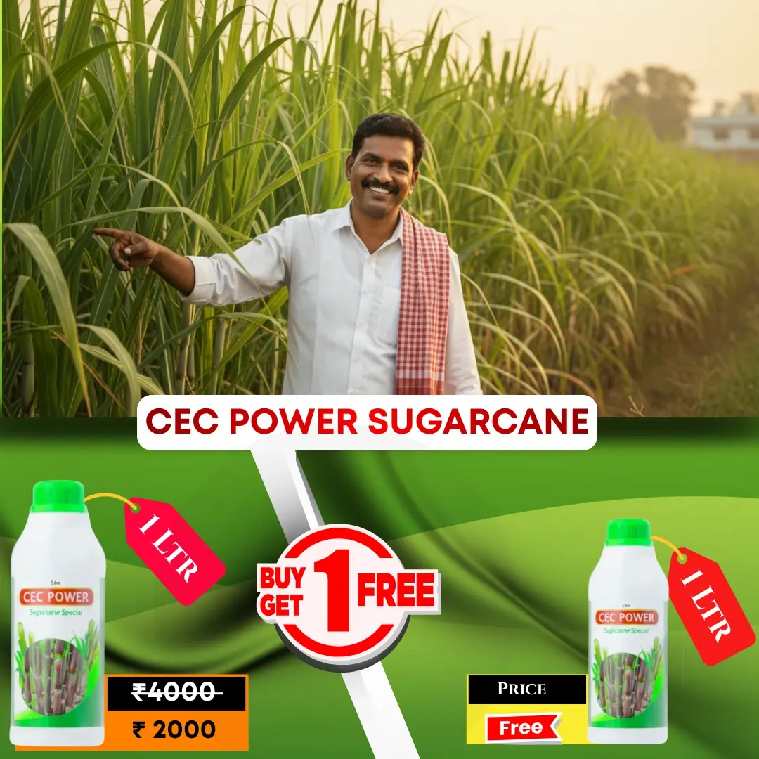 Cec Power Sug 1 Ltr Buy 1 Get 1 Free